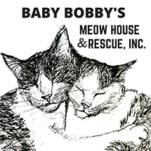 Baby Bobby's Meow House & Rescue Cat Newsletter